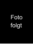 Fotofolgt