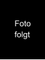 Fotofolgt